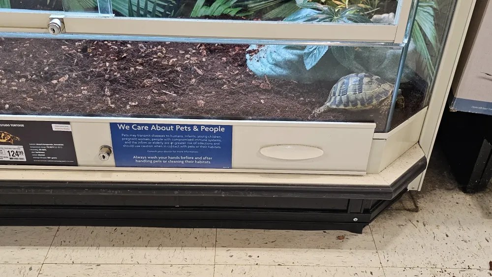Does Petco Sell Turtles? Reptile Inquirer
