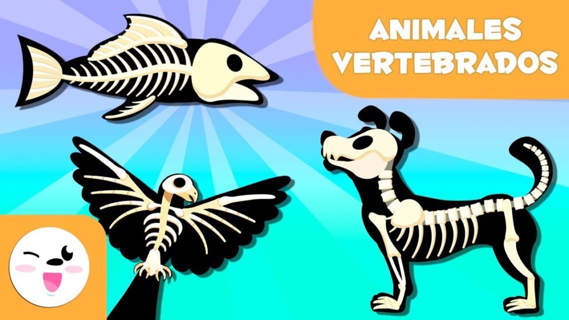 ANIMALES VERTEBRADOS para niños Mamíferos, aves