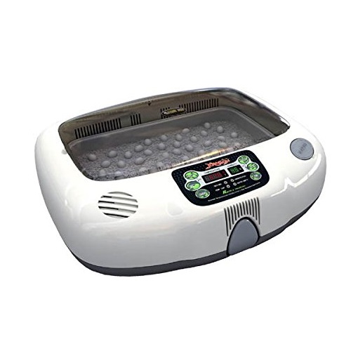 Top 5 Best Reptile Incubators [August 2024 Review] ReptileProfy