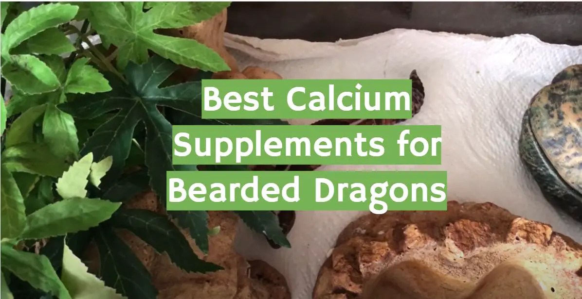 Top 5 Best Calcium Supplements for Bearded Dragons [October 2023 Review