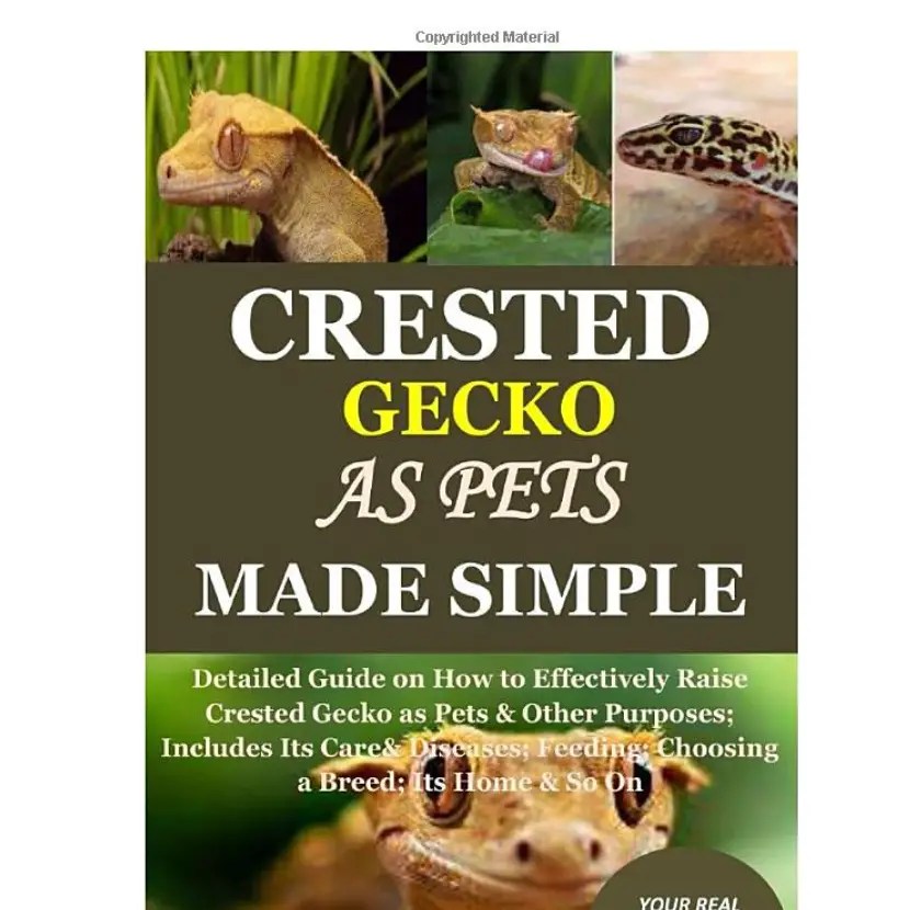 Top 5 Best Crested Gecko Books [February 2024 Review] ReptileProfy