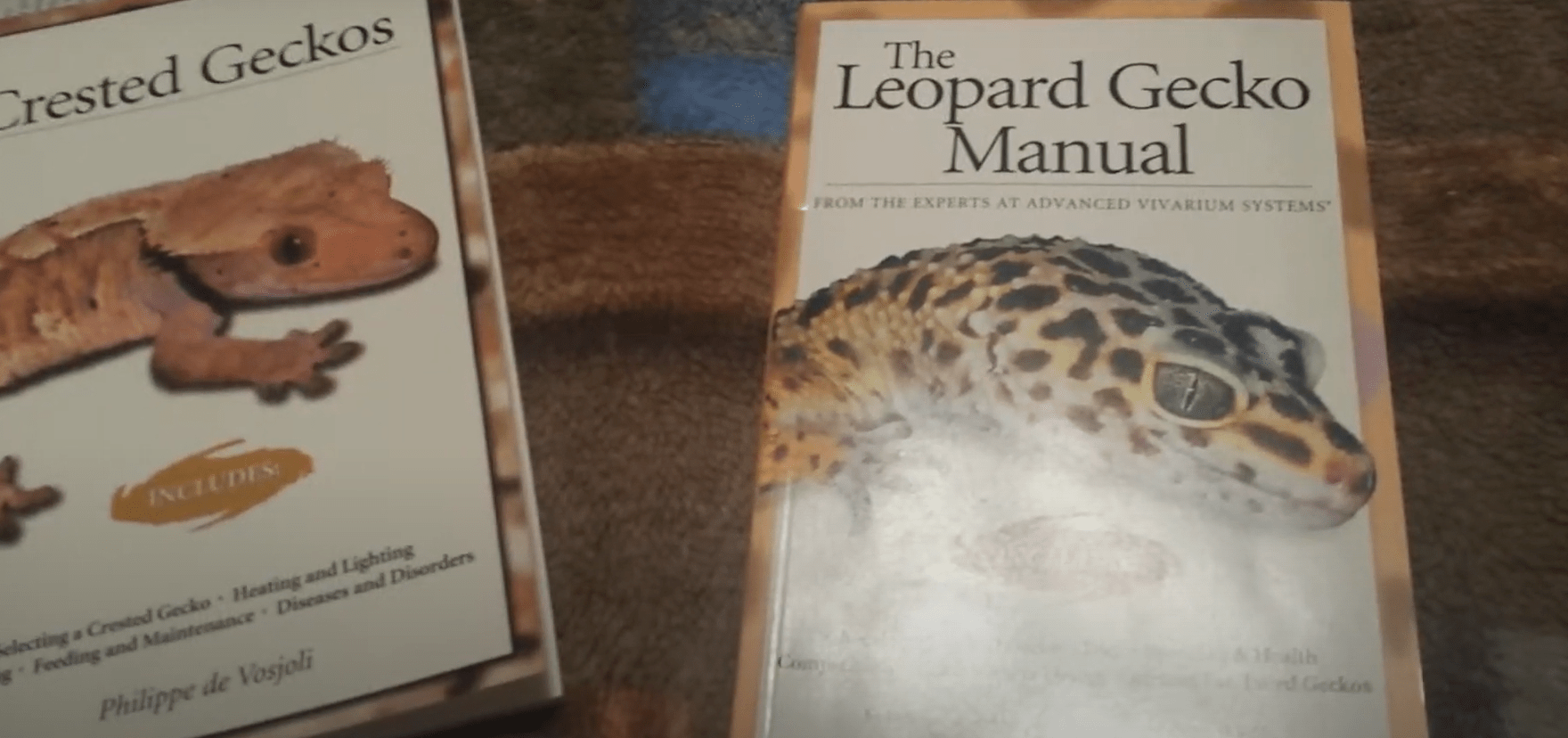 Top 5 Best Leopard Gecko Books [October 2024 Review] ReptileProfy