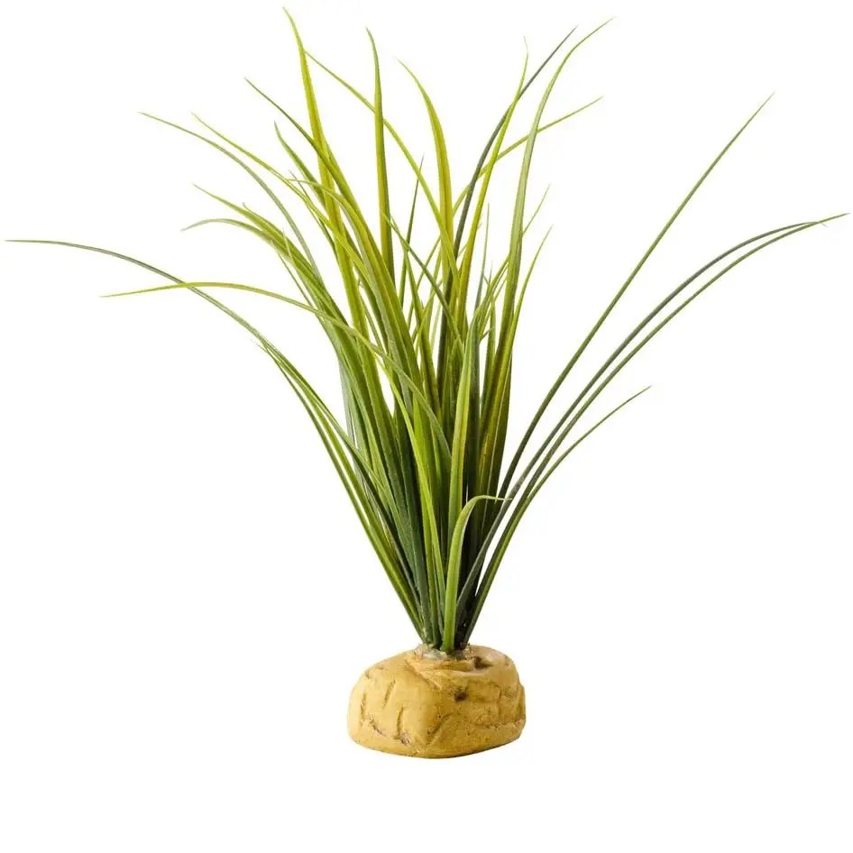 Top 5 Best Plants for Turtle Tank [June 2023 Review] ReptileProfy