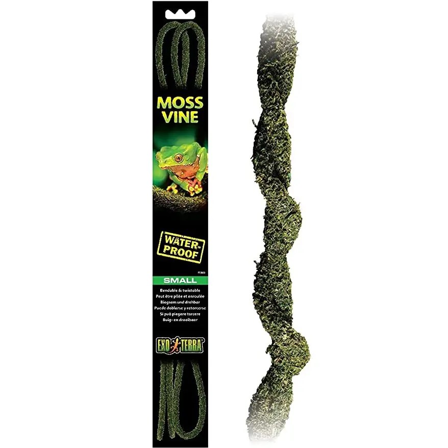 Top 5 Best Moss for Leopard Gecko in September 2024 ReptileProfy
