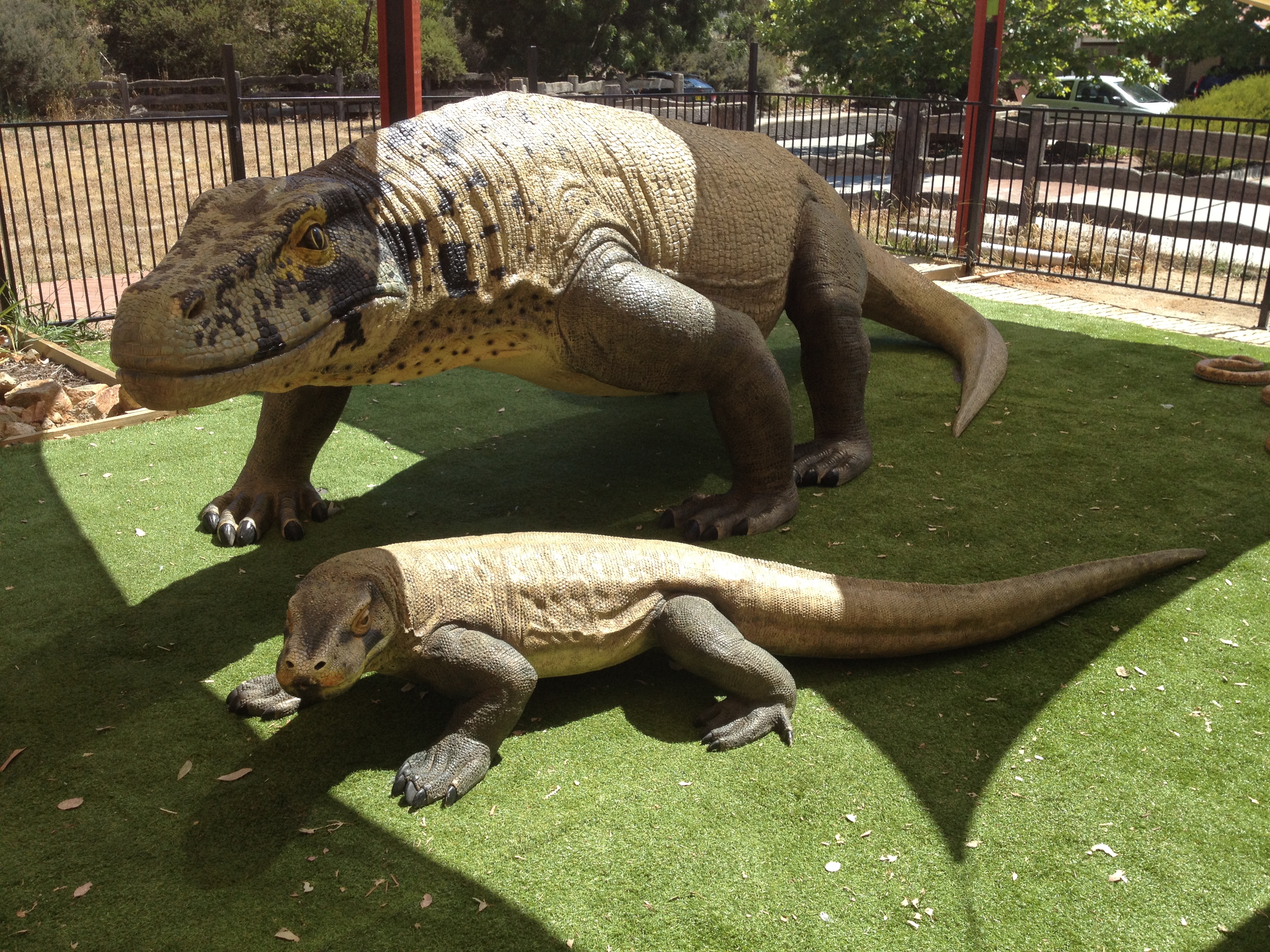 Reptiles Inc & Canberra Reptile Zoo