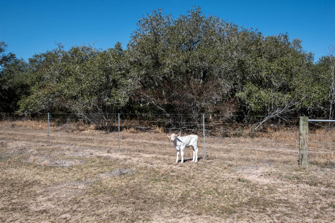 Bauer Ranch Republic Ranches