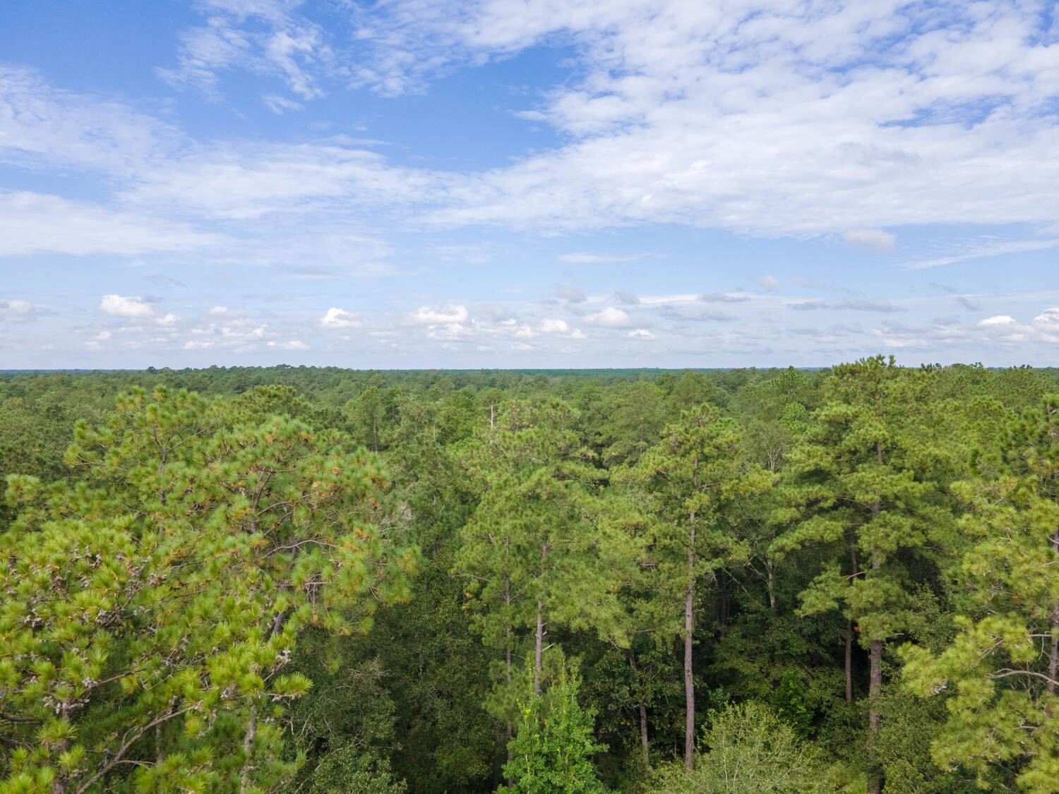 Bixby Ranch Republic Ranches