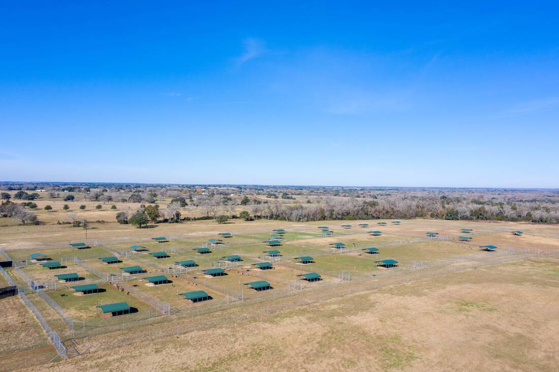 Glecker Whitetail Ranch Republic Ranches
