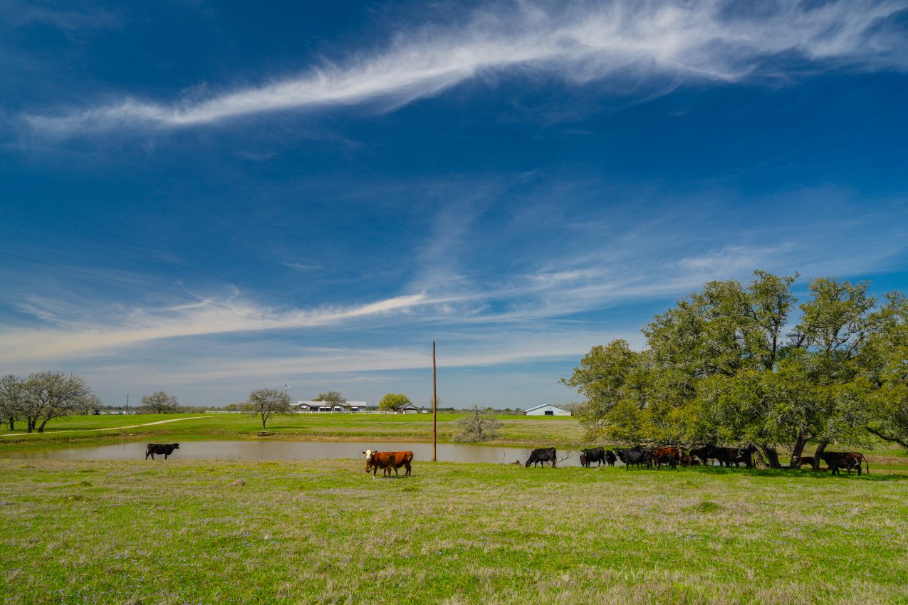 Lambert Ranch Republic Ranches