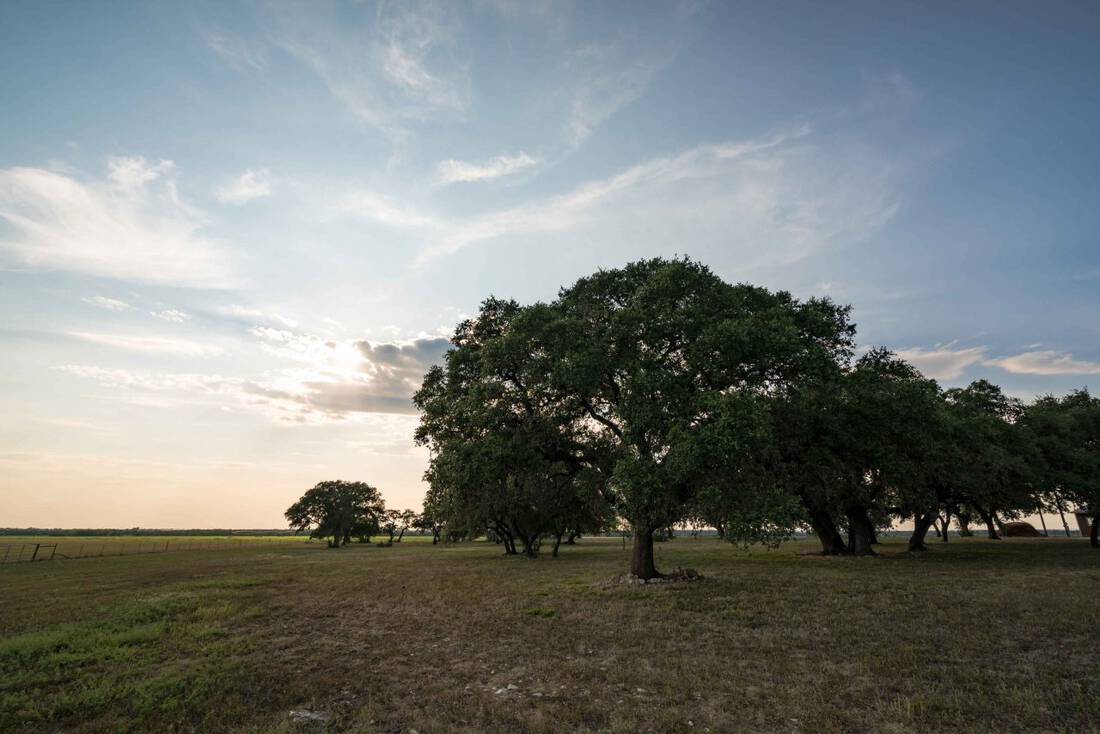 Open Gate Ranch Republic Ranches