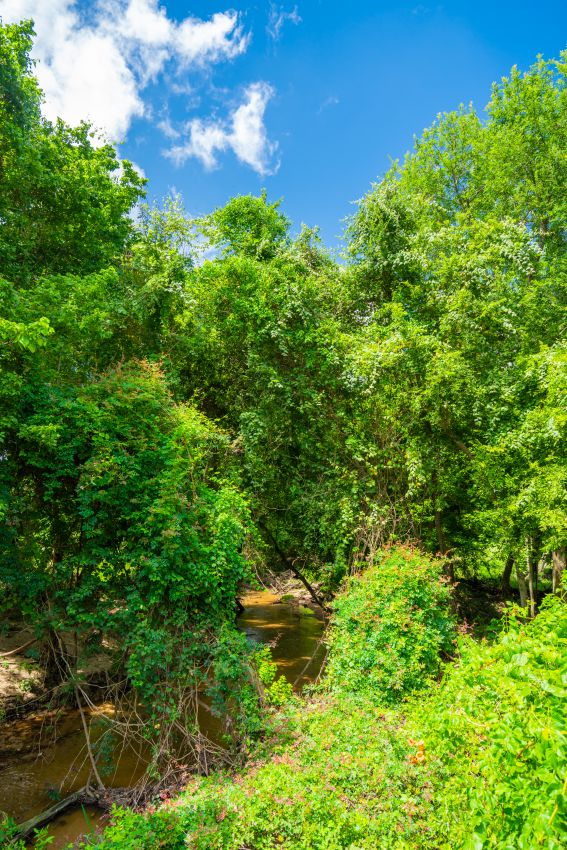 Smith Ranch Republic Ranches