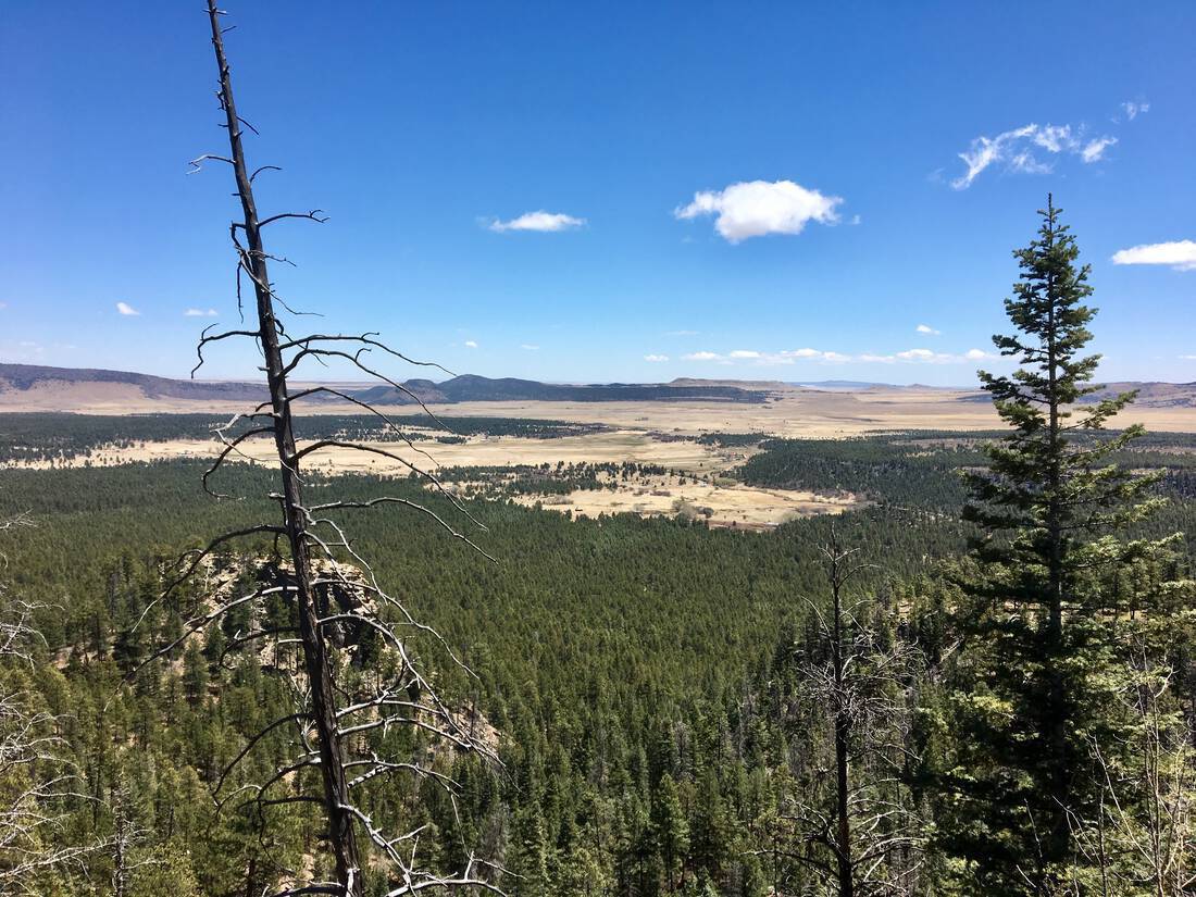 Golden Ranch Republic Ranches