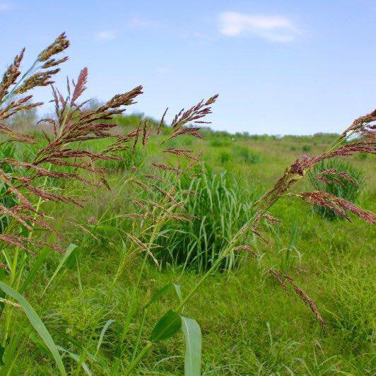 Prairie Oaks Ranch Republic Ranches