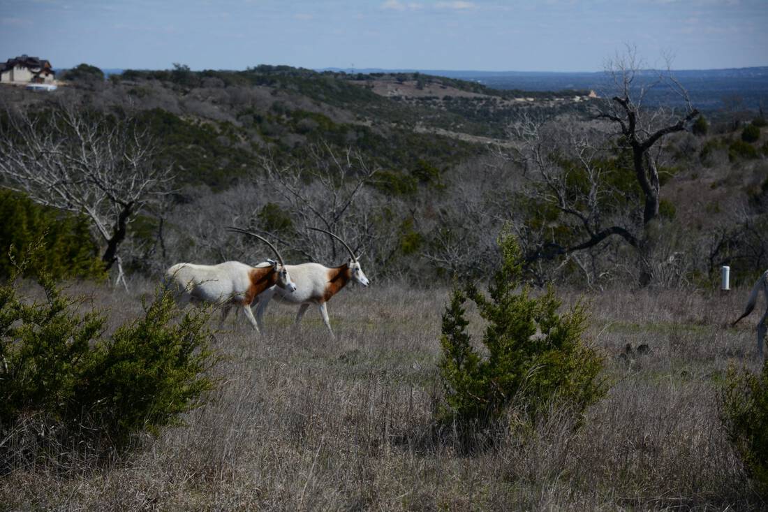Ranches at Brushy Top Republic Ranches