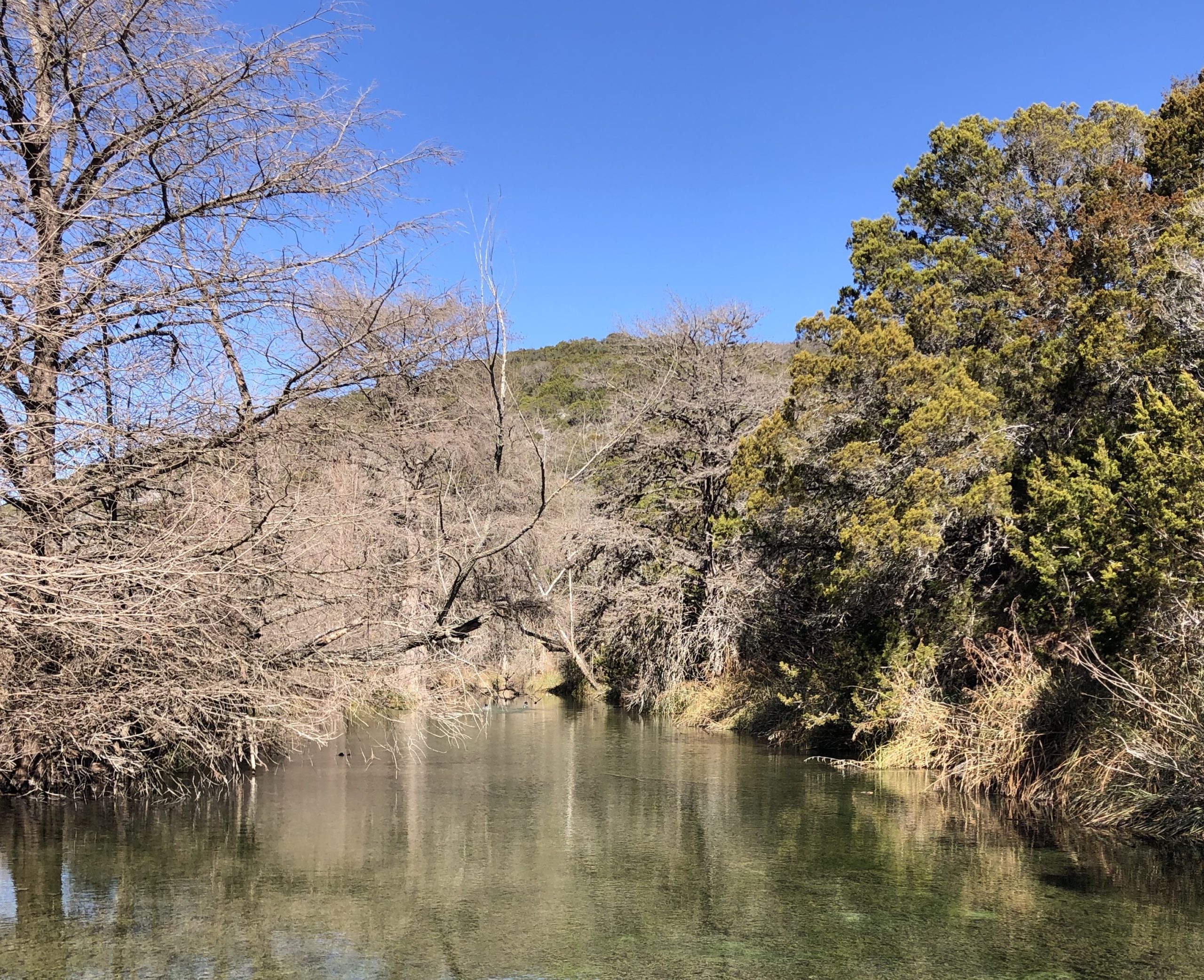 Spring Valley Ranch Republic Ranches