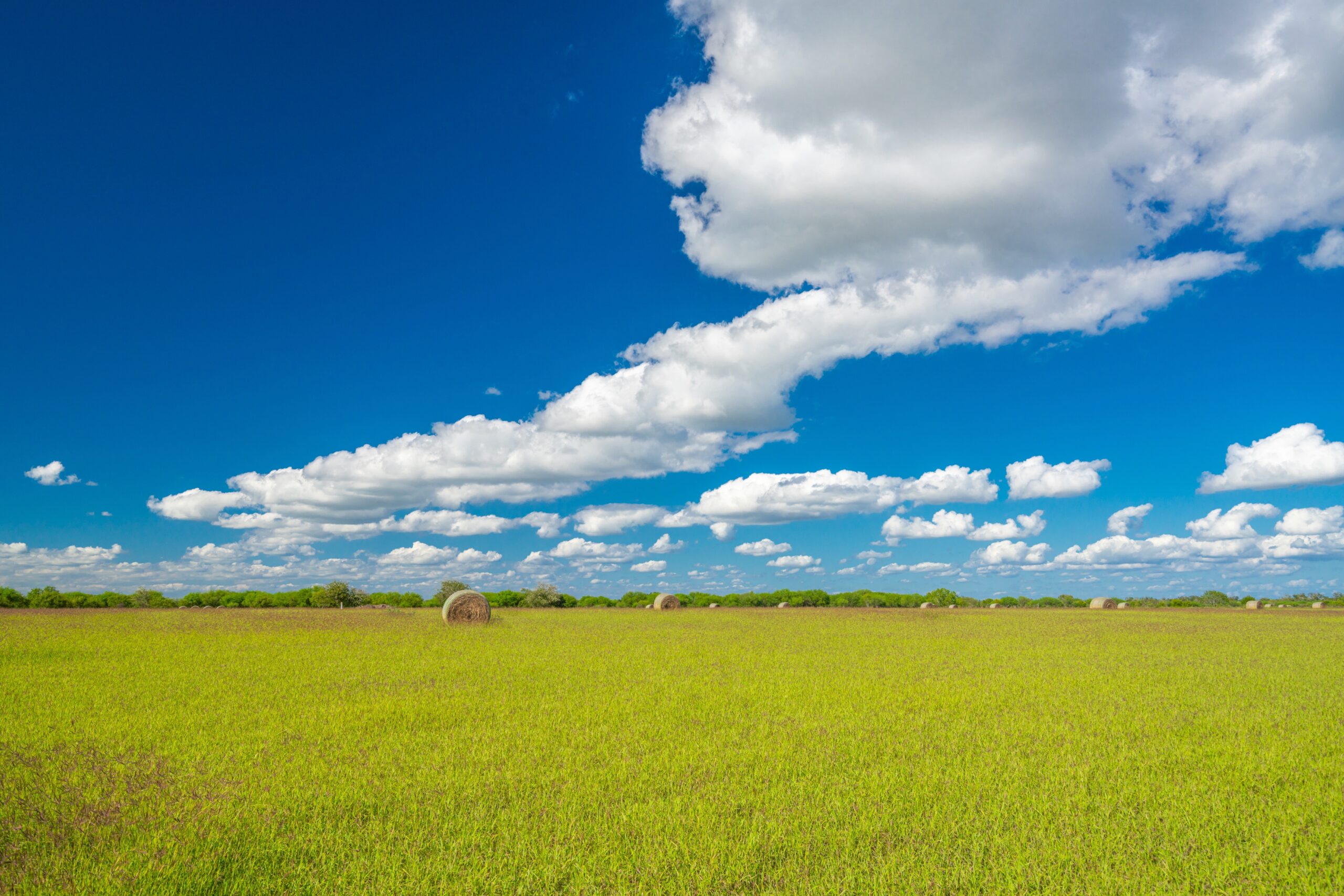 LMV Ranch Republic Ranches