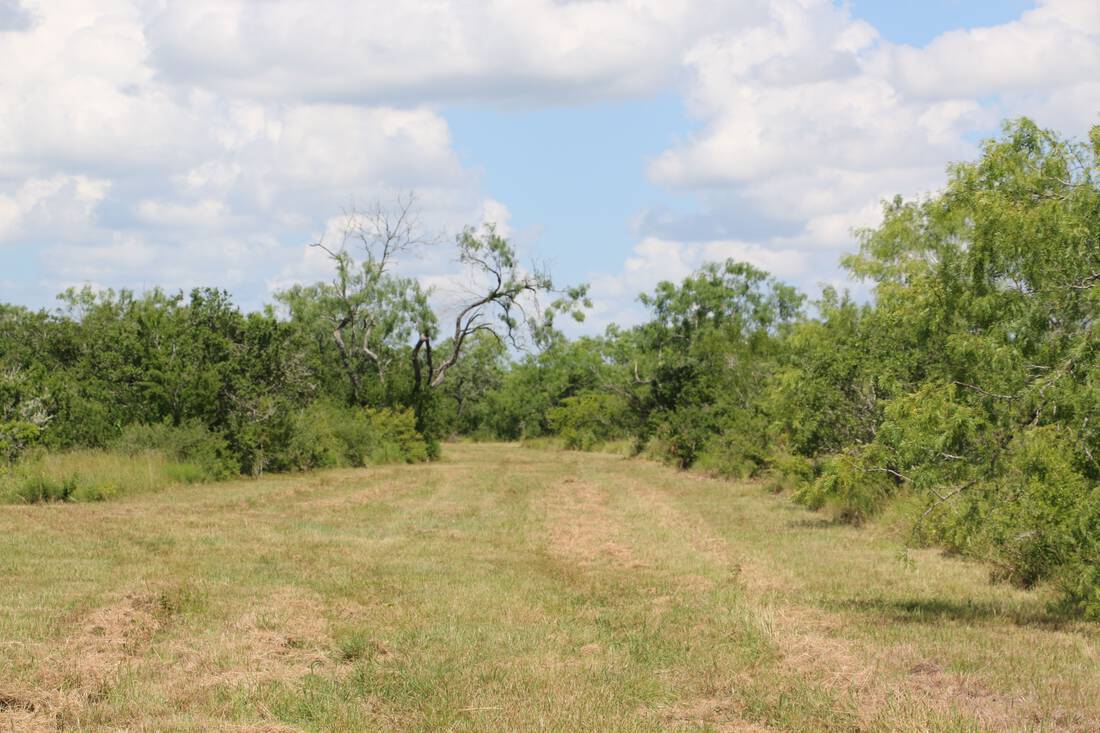 South Texas Republic Ranches