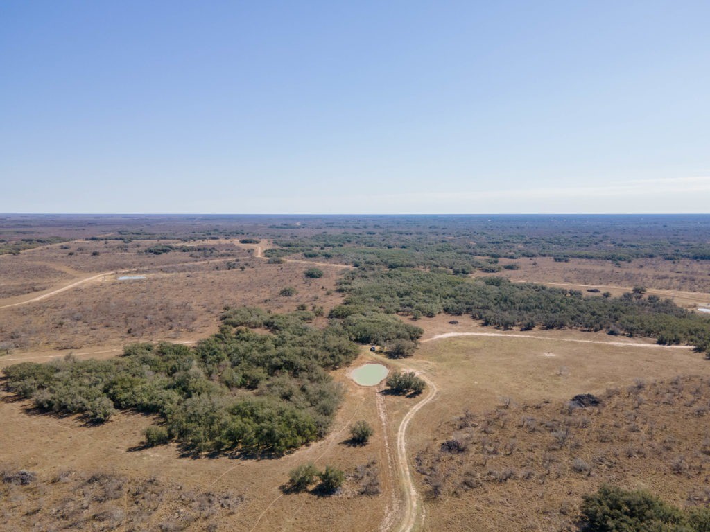 South Texas Ranches For Sale Republic Ranches Land Sales