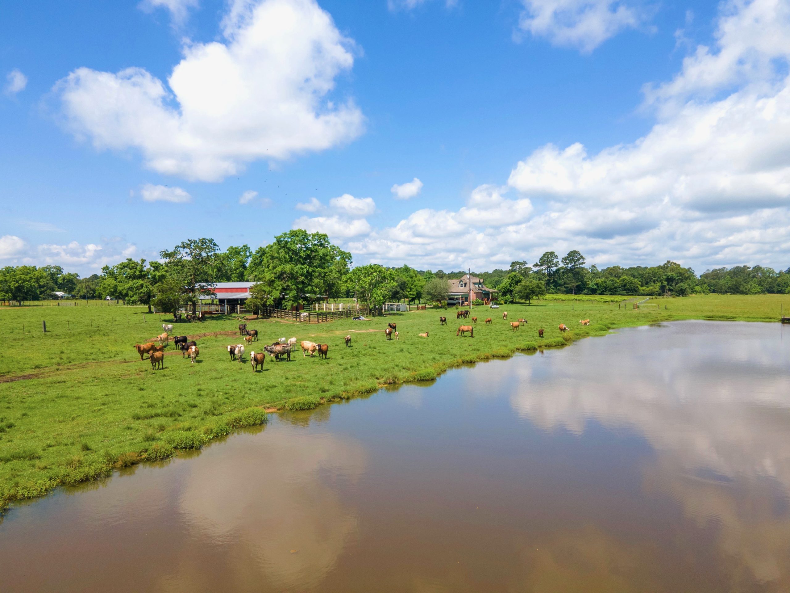 East Texas Ranches For Sale Republic Ranches Land & Ranch Sales
