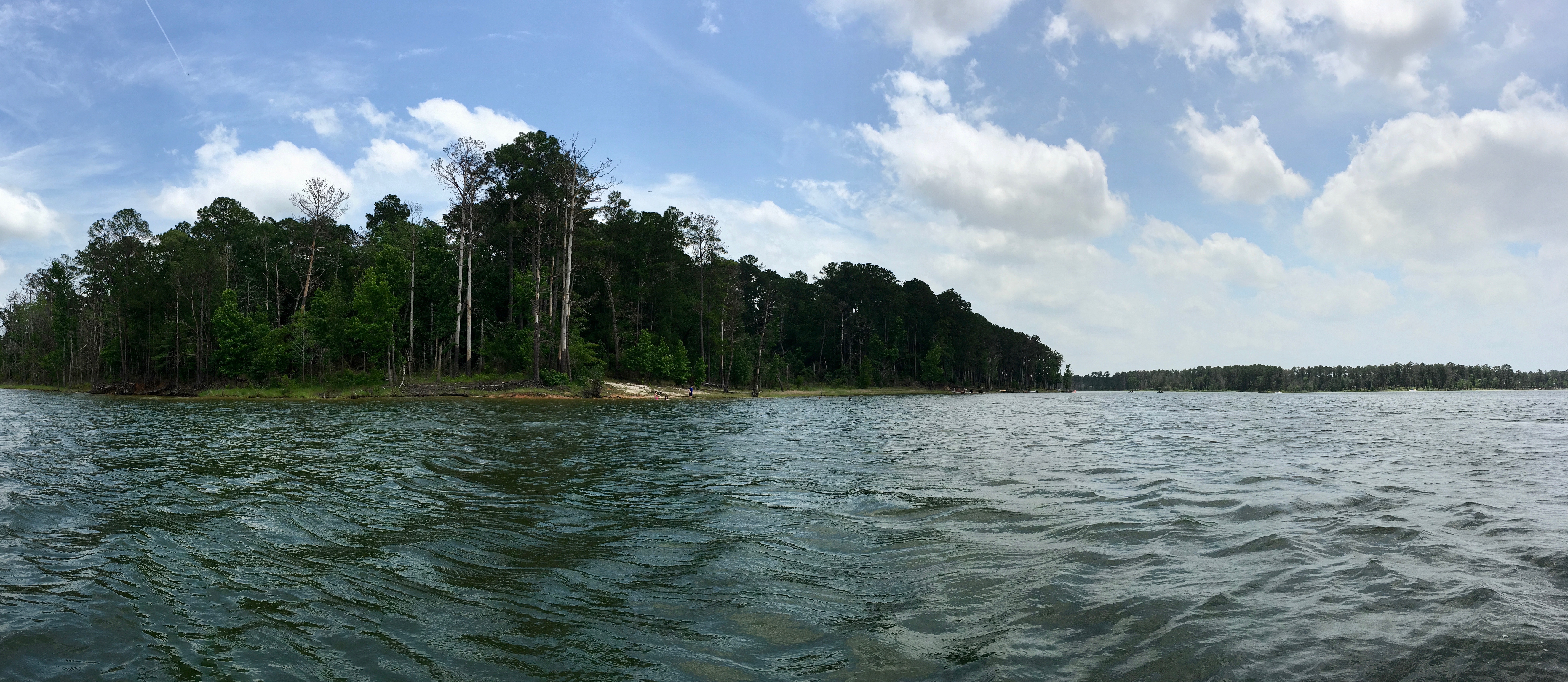 15 Acres Sam Rayburn Lake Republic Realty Advisors