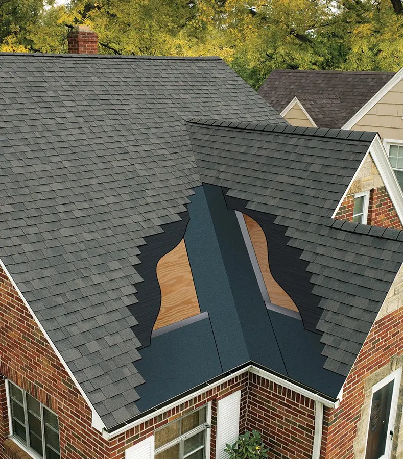 Unveiling the Shield How Ice and Water Barrier Safeguards Your Roof