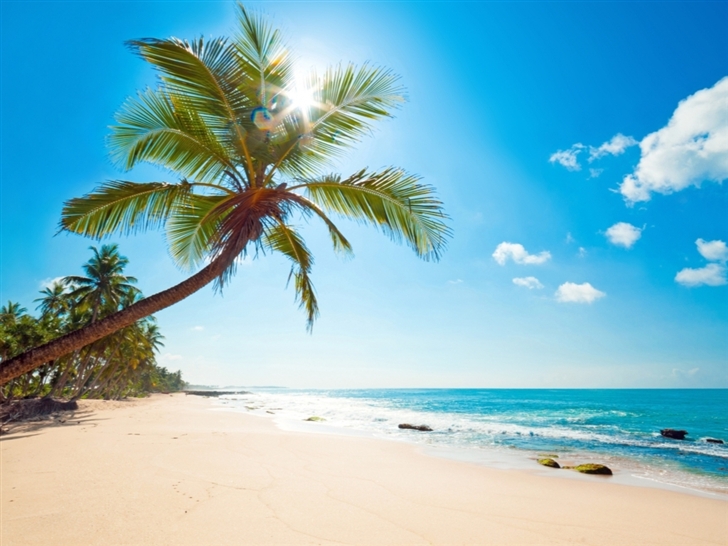 Tropical Sunshine Mac Wallpaper Download AllMacWallpaper
