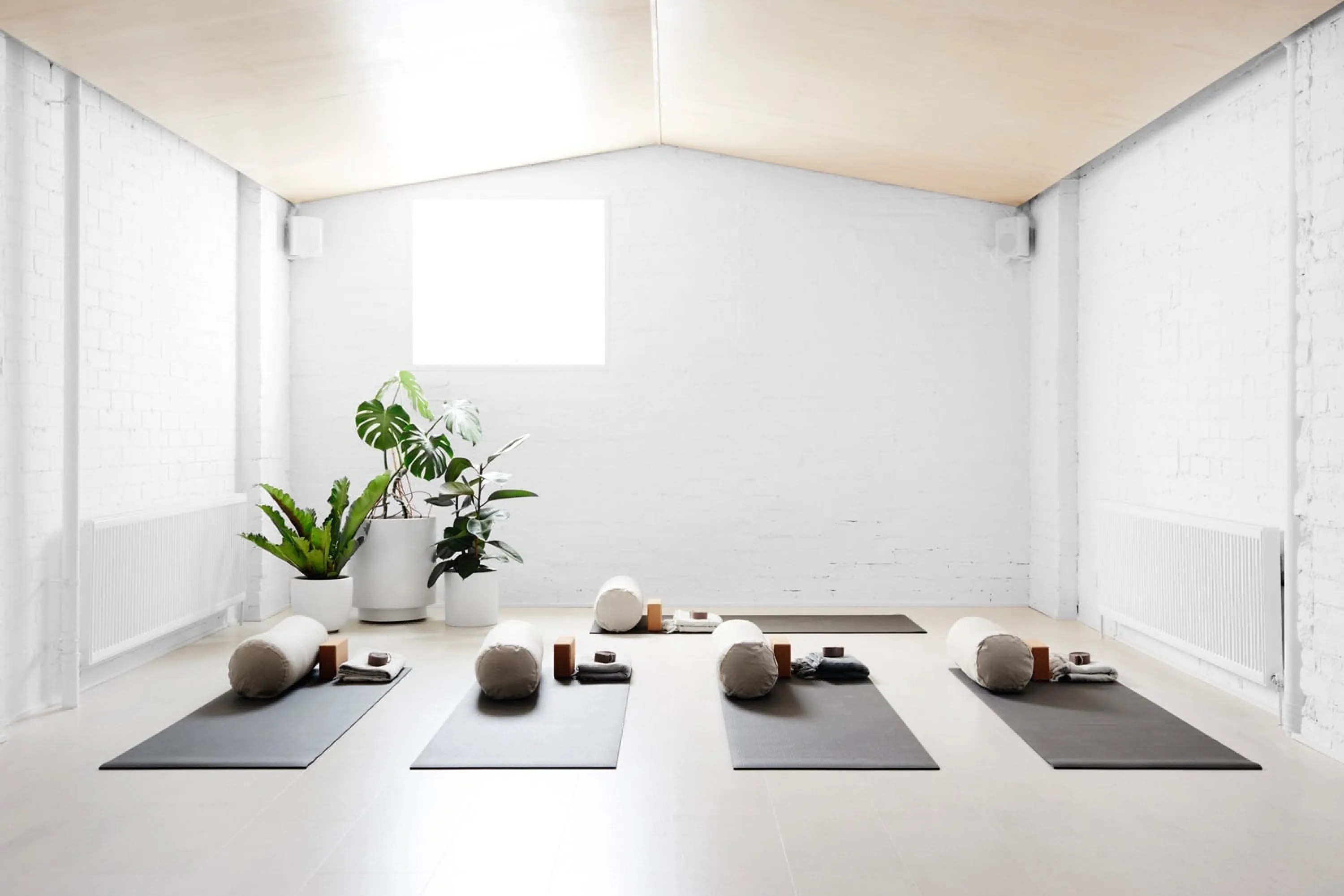 how to design a biophilic meditation room · anooi
