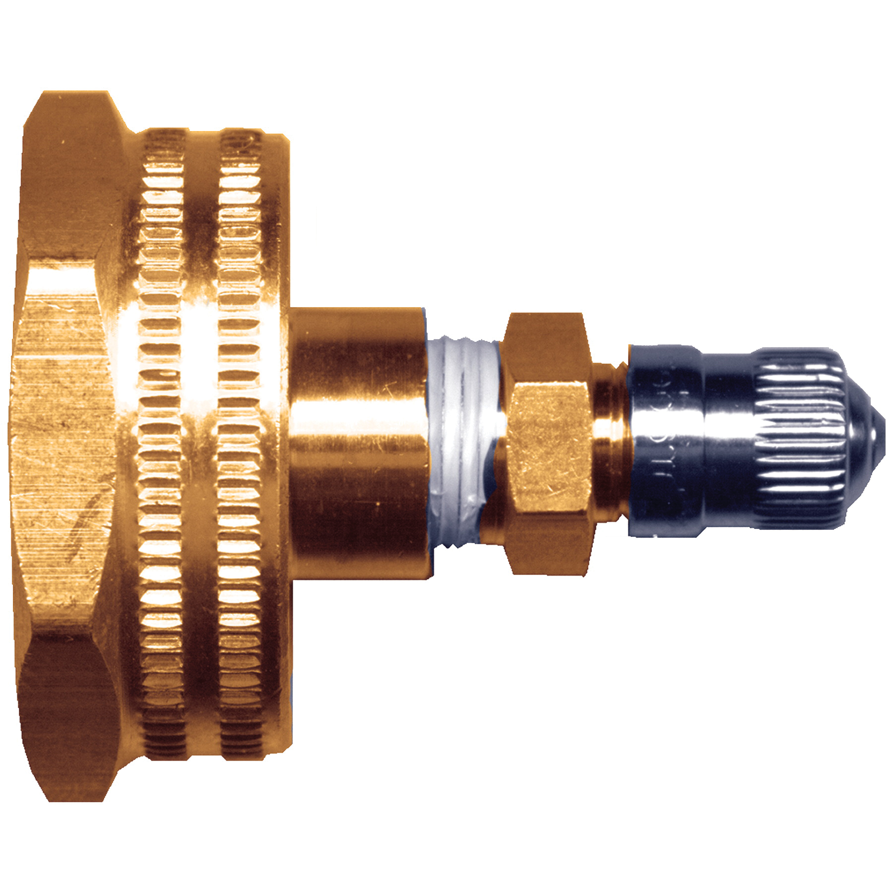 Aquifer Distribution Fairview 204 Water Line Air Drain Valve, Hose, Brass, Import