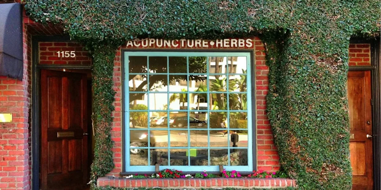 Los Angeles' top acupuncture spots, ranked