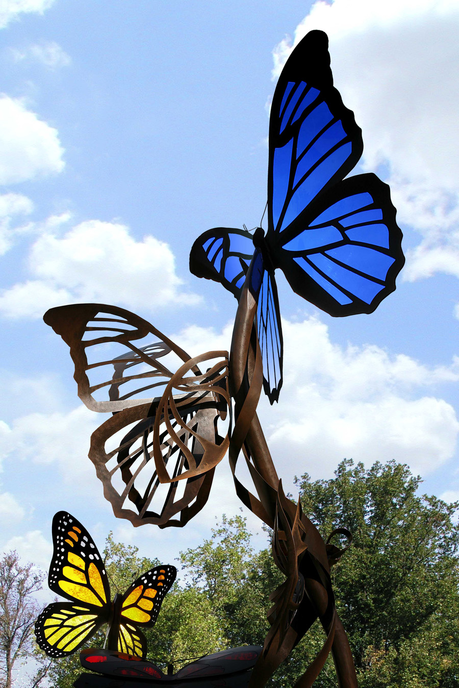 The Metamorphosis Wikipedia