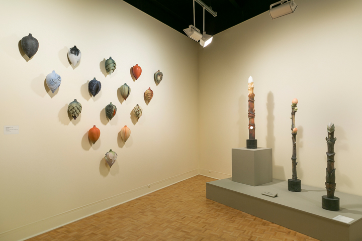 Solo Show Greenville County Museum of Art CODAworx