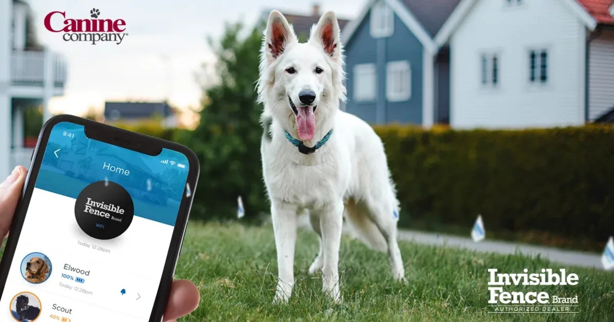 Win an Invisible Fence® Brand Boundary Plus Smart™ System