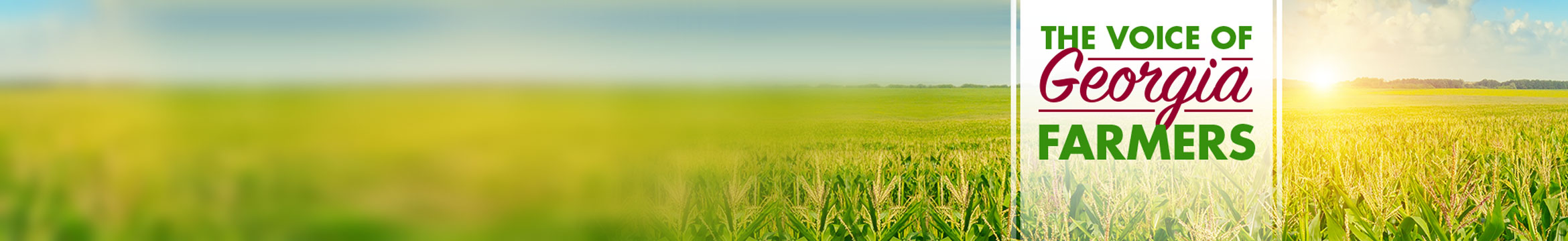 86 Farm Bureau Insurance Reviews