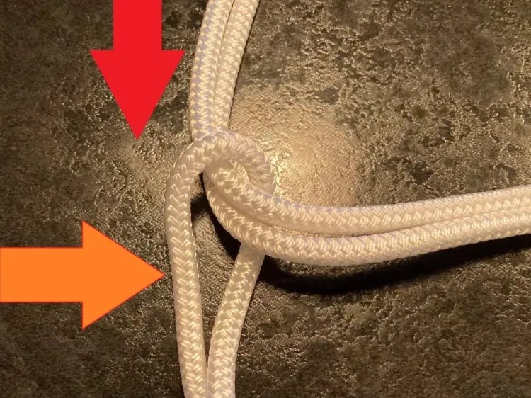 Safely Tying Rope Halters A 3Step Guide