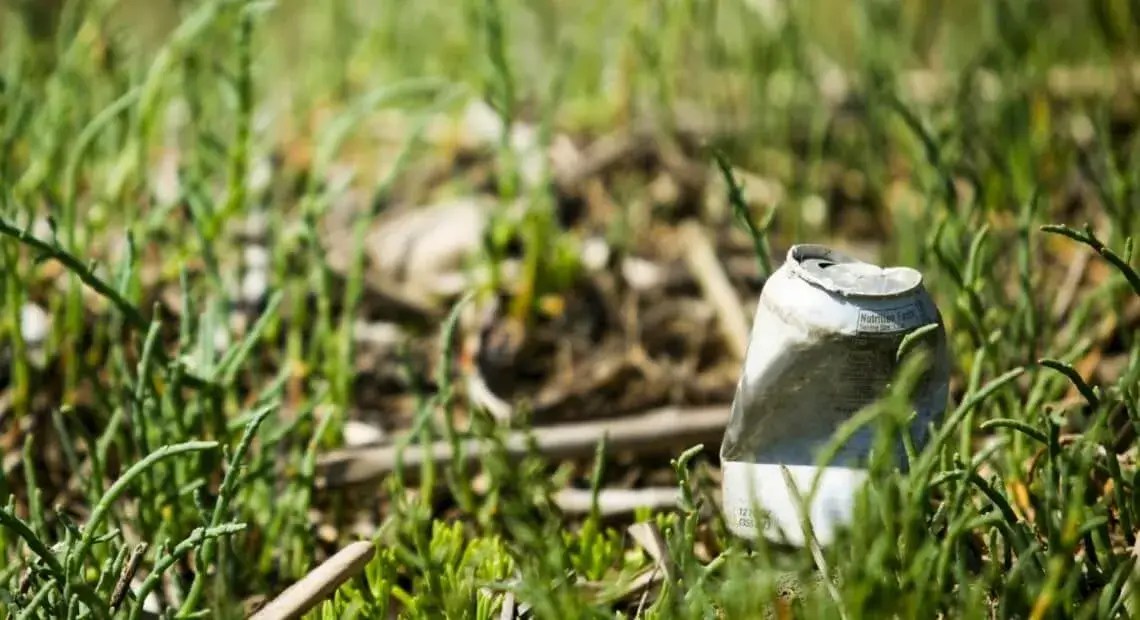 How Does Littering Affect the Environment? Ridly