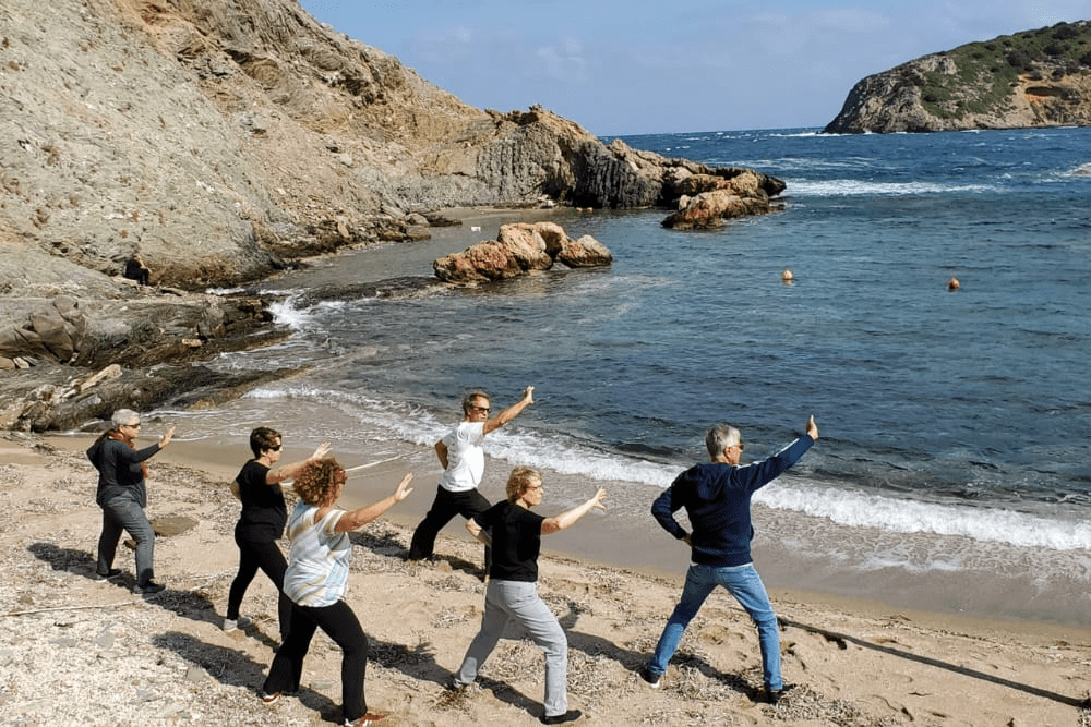 Las Vegas Wellness The Center For Israeli Martial Arts Las Vegas