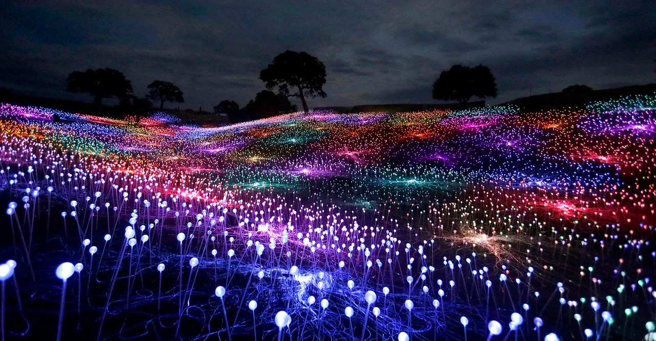 'Field of Light' comes to Lady Bird Johnson Wildflower Center this fall