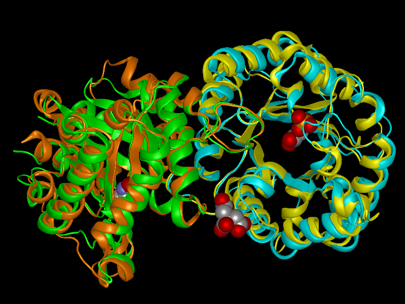 Protein Structural Alignment Workflow DNASTAR