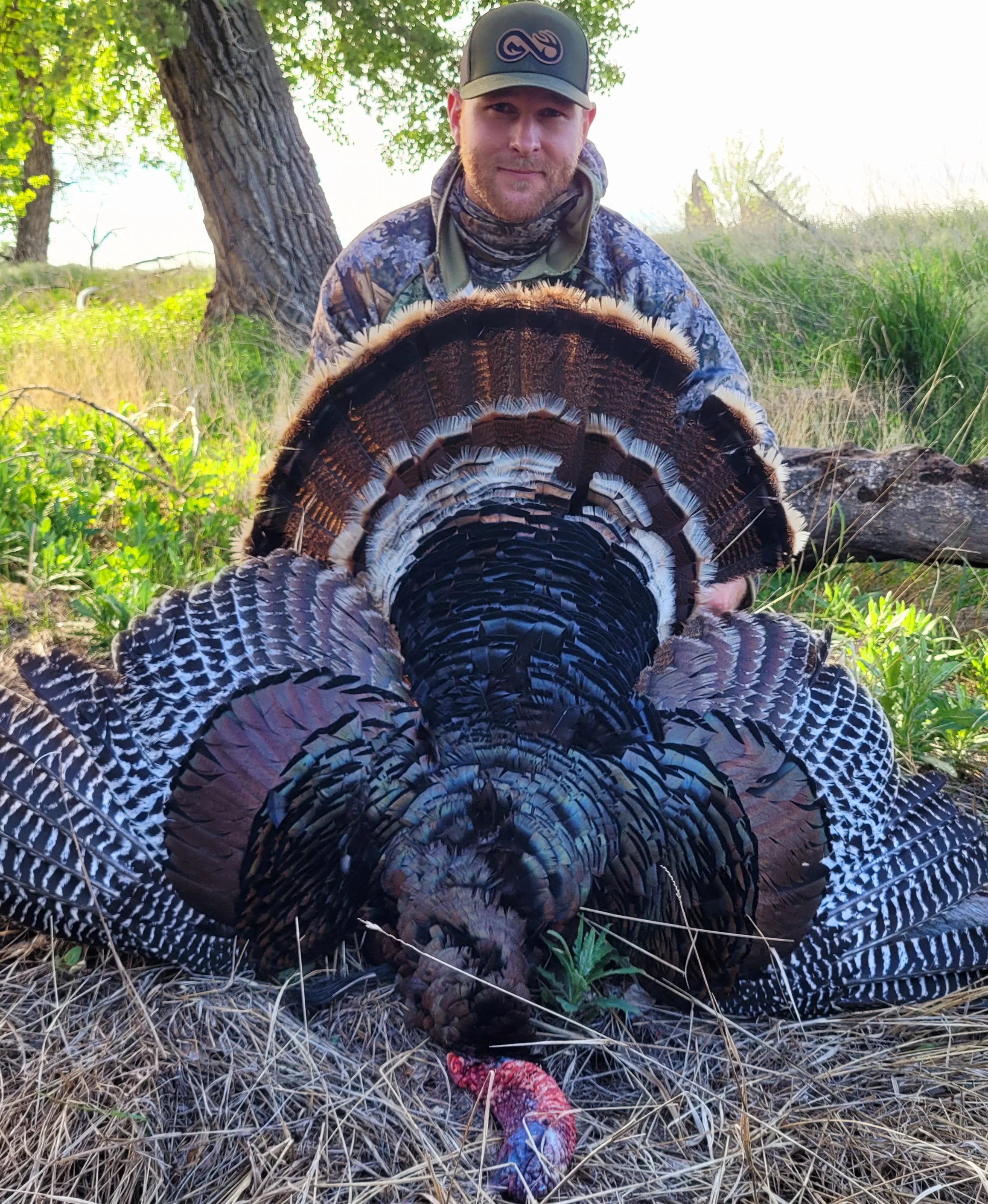 Hunt Turkey in Colorado on private land Infinite Outdoors