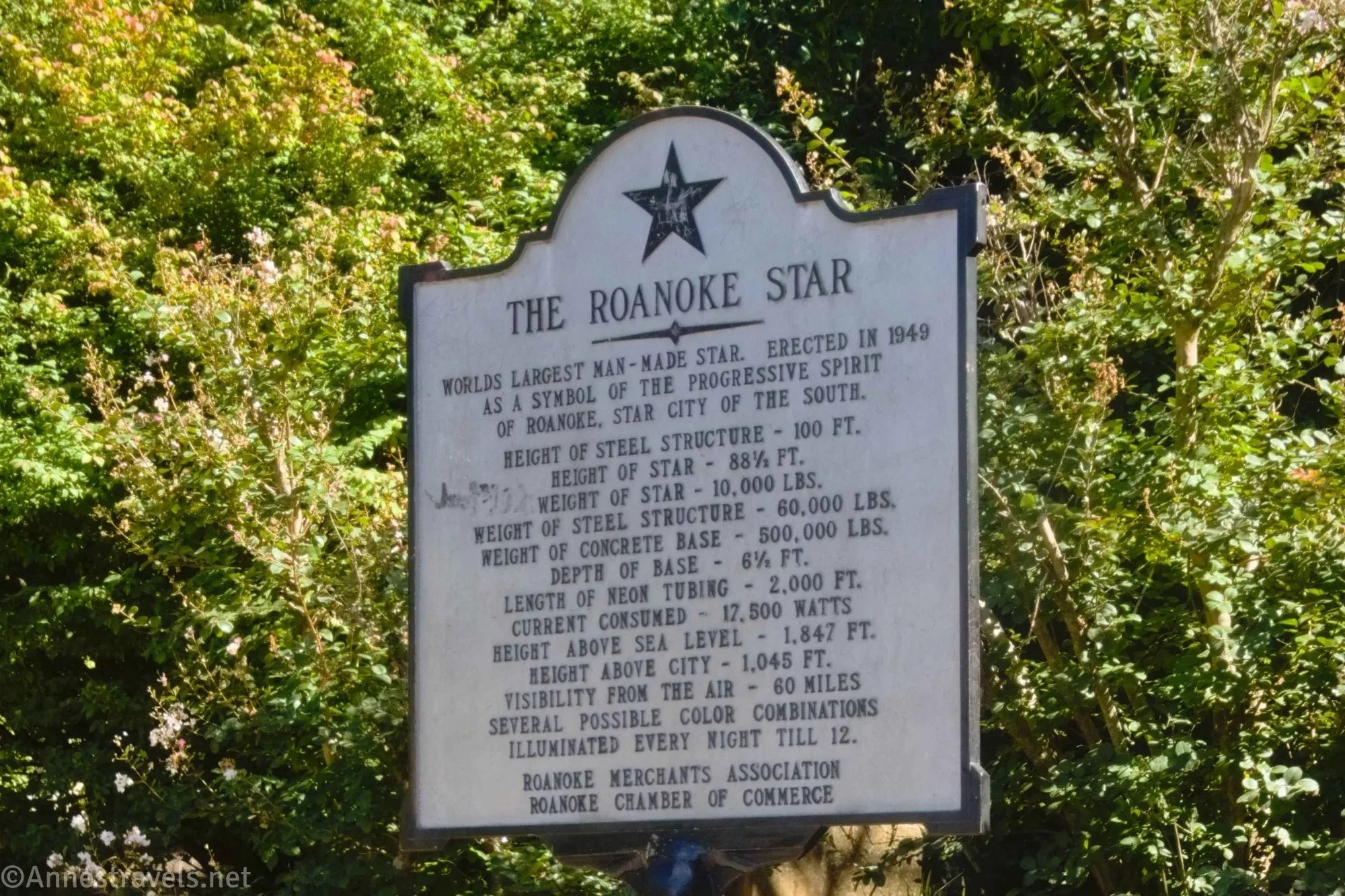 Views of Roanoke from the Roanoke Star Anne's Travels