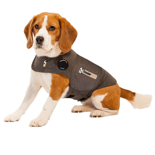 Buy Thundershirt for Dogs Online ePETstore