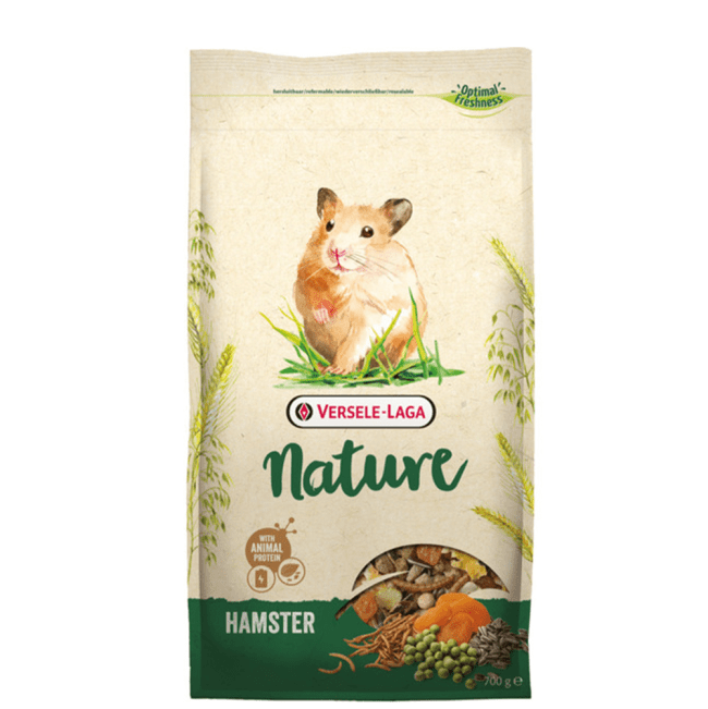 Buy Hamster Online atelieryuwa.ciao.jp