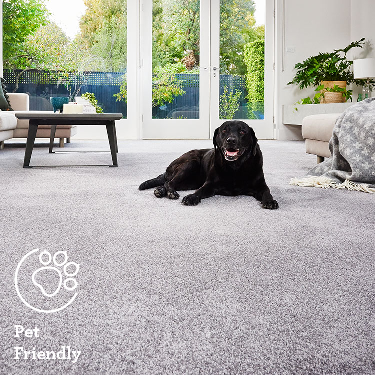 Triexta Carpet Reviews Australia Two Birds Home