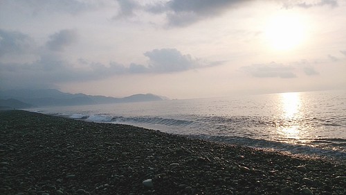 花の満開と風。