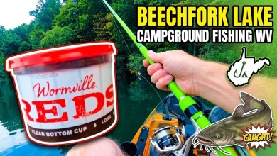 Beechfork Lake campground, West virginia ,Kayak fishing