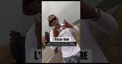 l'oiseau rare est au Gabon #stitchboutique #hiphop #frenchdrill #rap #music