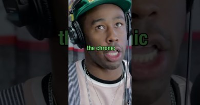 Tyler, The Creator Isn’t Here for Fake Music Fans 😭 😤