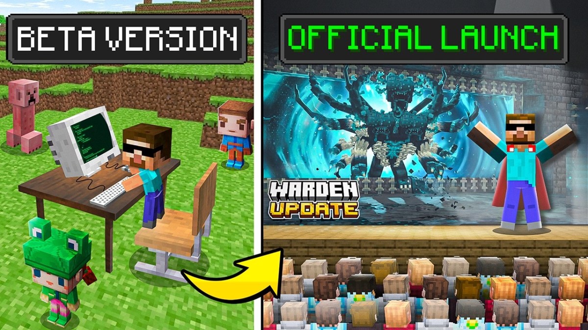 Birth to Death as a Minecraft Developer