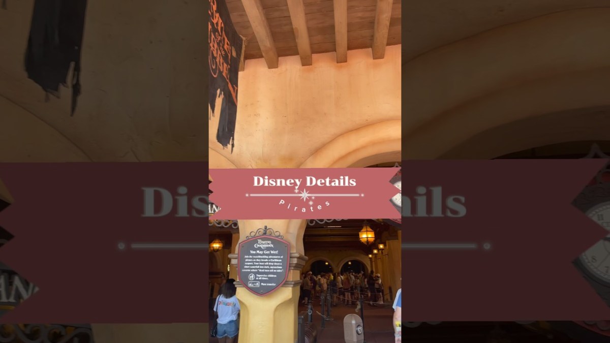 Celebrity on Pirates of the Caribbean! #celebrity #character #disney #disneydetails #famous #shorts