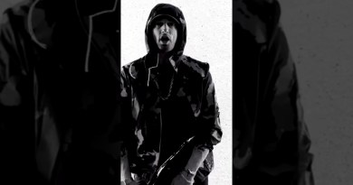 Eminem – The Ringer #eminem #slimshady #hiphop